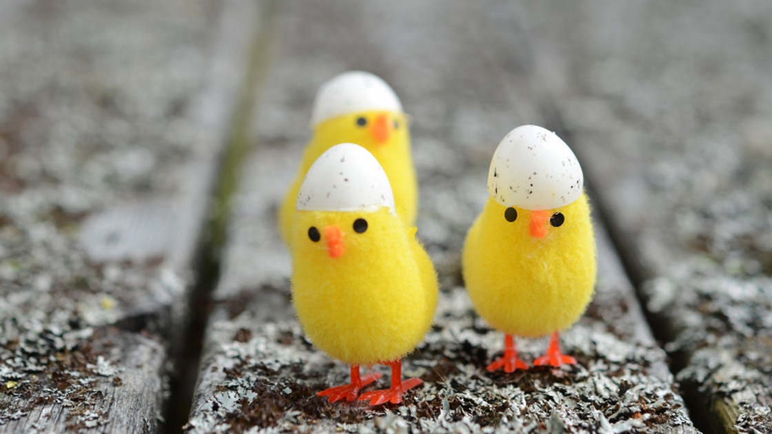 Påskkycklingar.