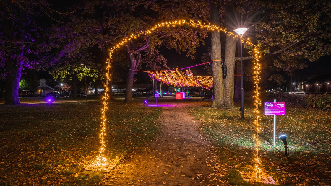 En del av ljusvandringen i Tibro. Ljusslingor och ljusinstallationer i en park.