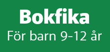 web - bokfika.png