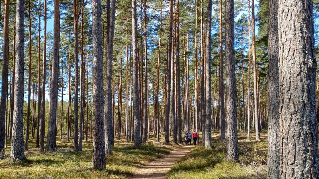 Motionsspår i Rankås