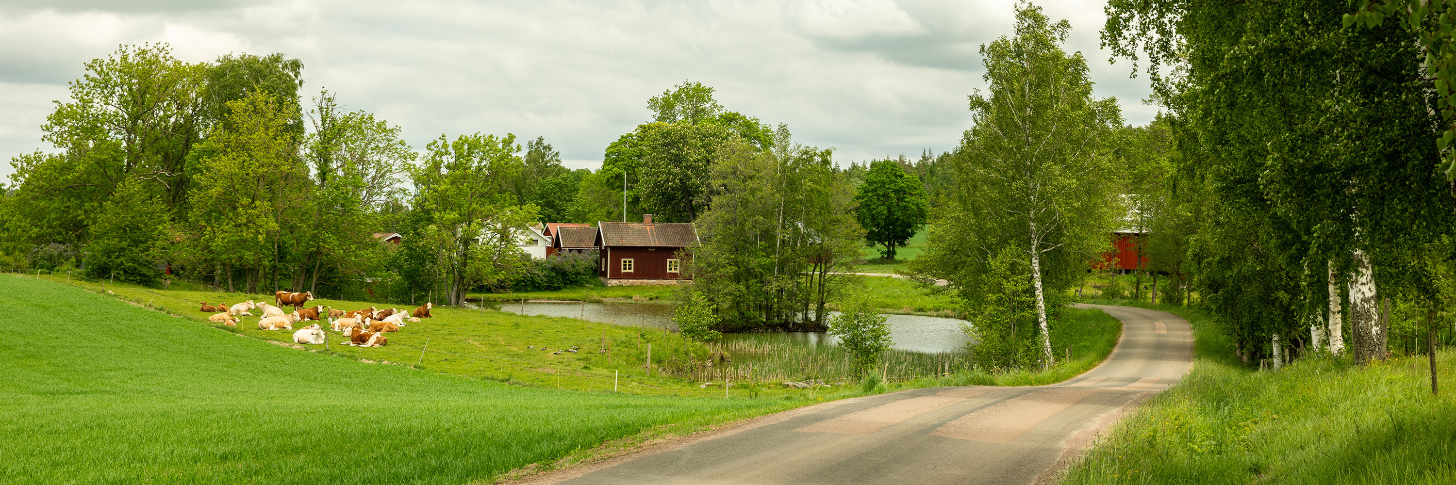 Landsbygd i Tibro kommun,