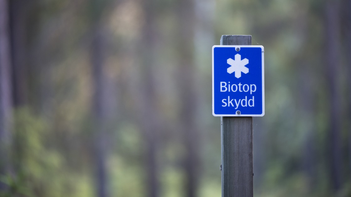 Biotopskydd