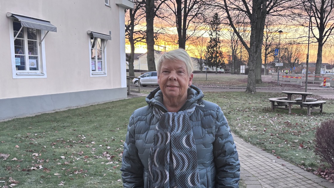 Agneta Olsson socialnämnden