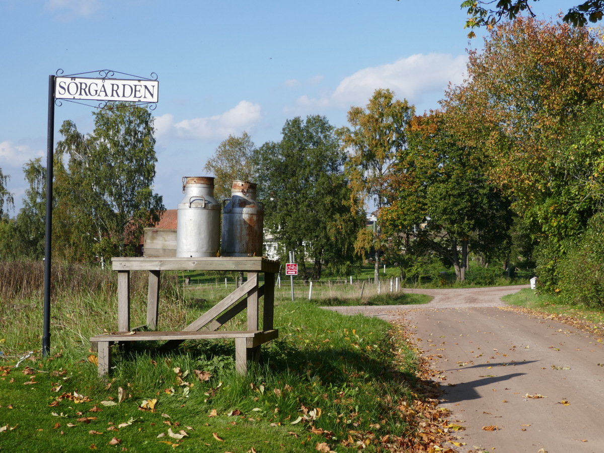 Enskild väg med mjölkapall 