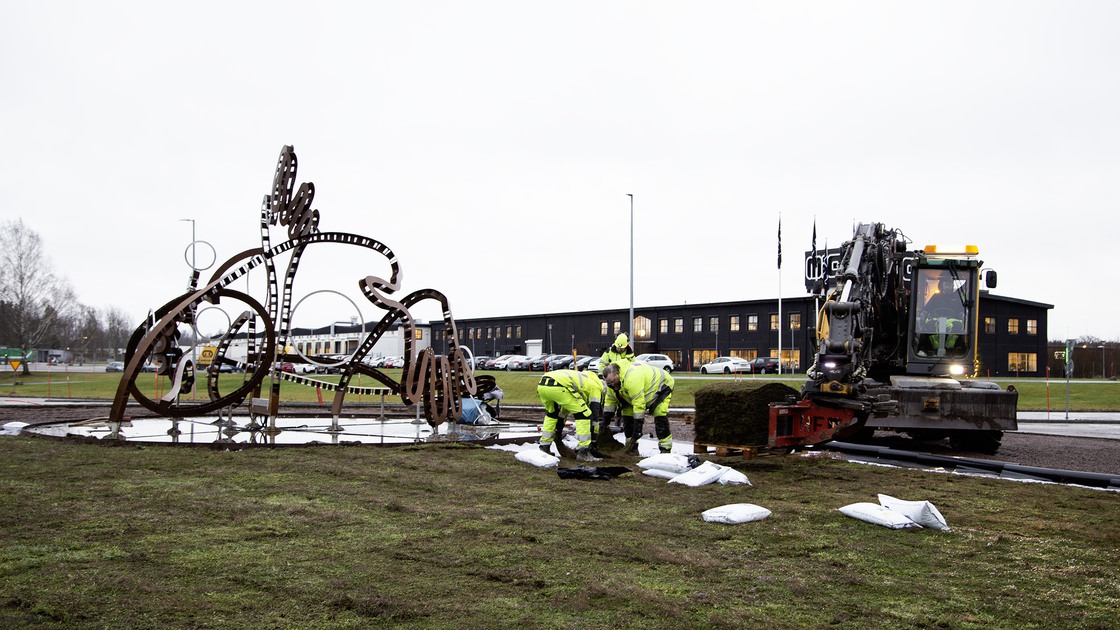 Anläggning av sedummatta runt konstverket Hej Tibro i Tidåkrarondellen.