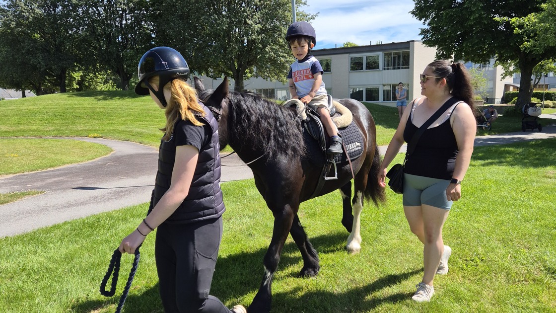 Ponnyridning i Skattegården.