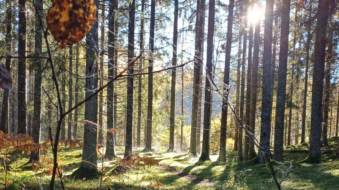 5 km, i höjd med Segertorpskälla