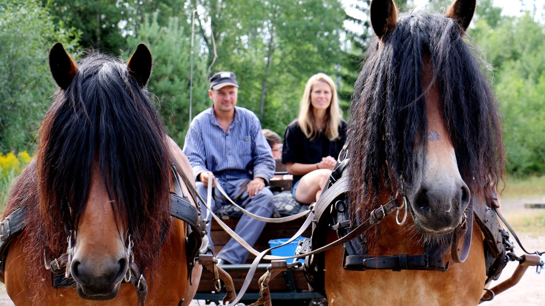 Häst och vagn med Per och Mia Madestam.