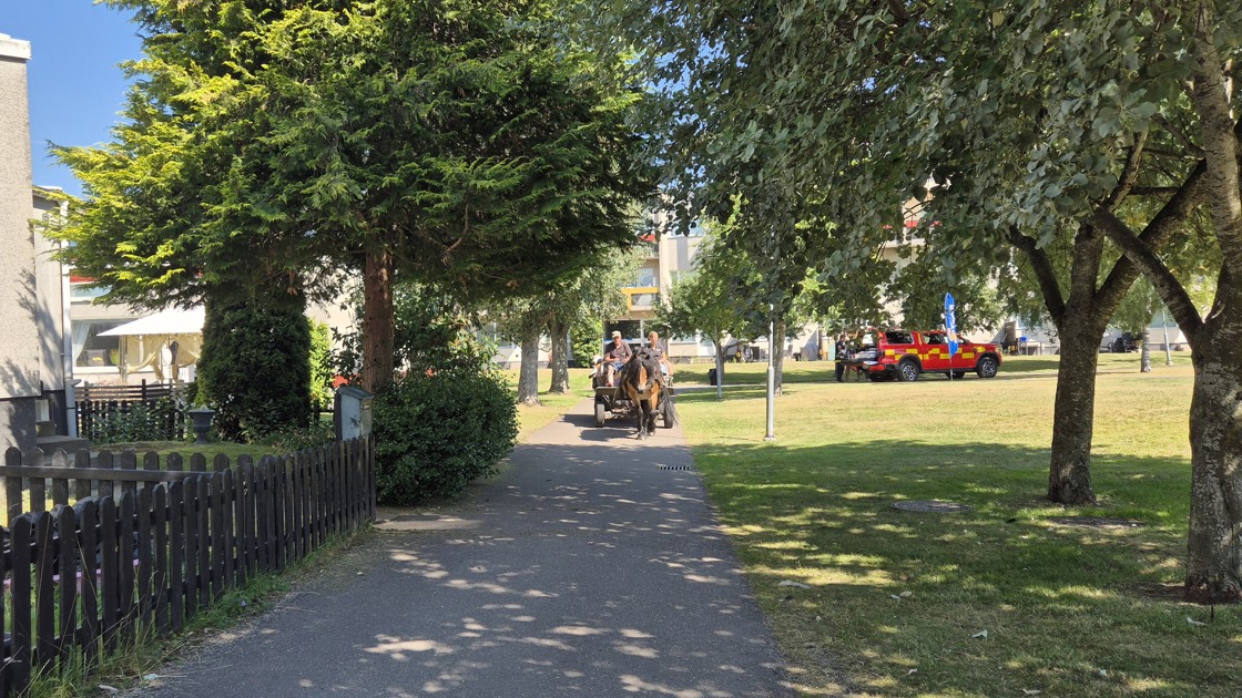 Sommarhäng i Brittgården.
