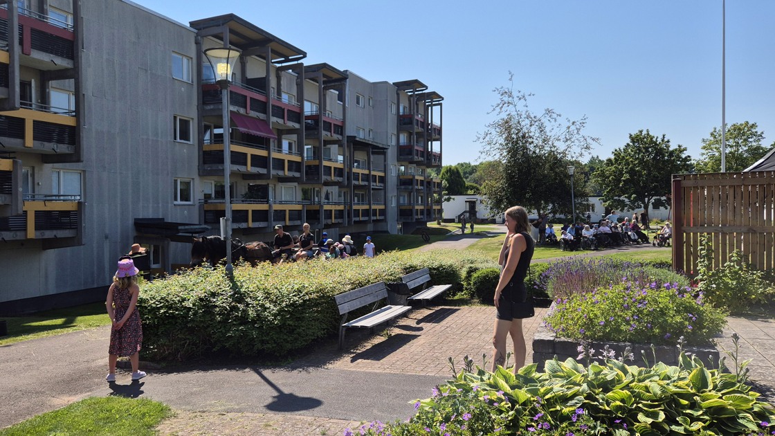 Sommarhäng i Brittgården.