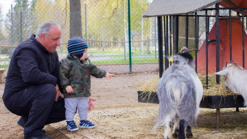 Man med barnbarn möter getter på Mini-Zoo.
